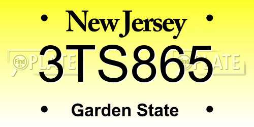 3TS865 New Jersey License Plate