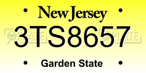 3TS8657 New Jersey License Plate