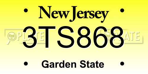 3TS868 New Jersey License Plate