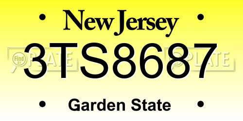 3TS8687 New Jersey License Plate