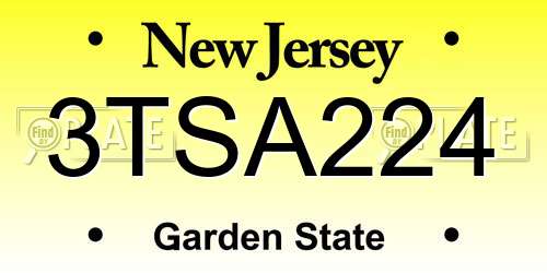 3TSA224 New Jersey License Plate