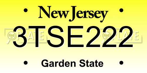 3TSE222 New Jersey License Plate