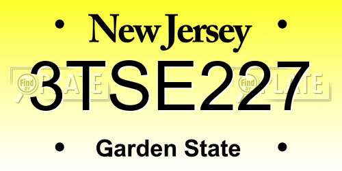 3TSE227 New Jersey License Plate