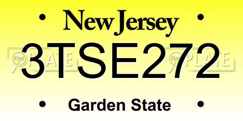 3TSE272 New Jersey License Plate