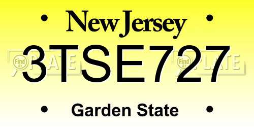 3TSE727 New Jersey License Plate