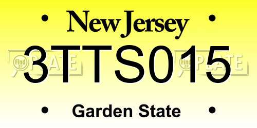 3TTS015 New Jersey License Plate