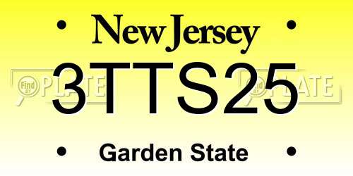 3TTS25 New Jersey License Plate