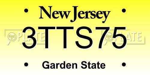 3TTS75 New Jersey License Plate