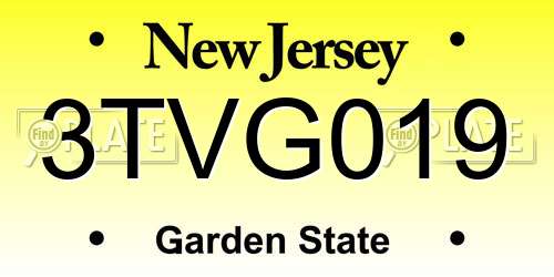 3TVG019 New Jersey License Plate