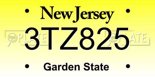3TZ825 New Jersey License Plate