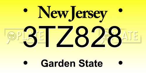 3TZ828 New Jersey License Plate