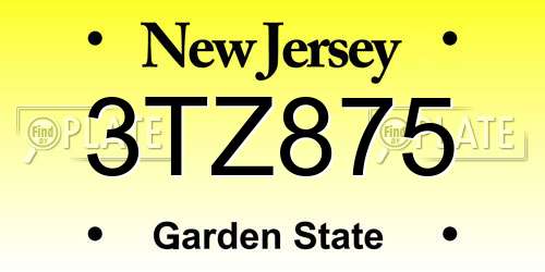 3TZ875 New Jersey License Plate