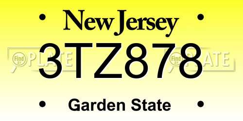 3TZ878 New Jersey License Plate