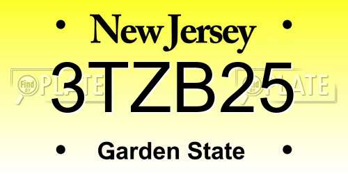 3TZB25 New Jersey License Plate
