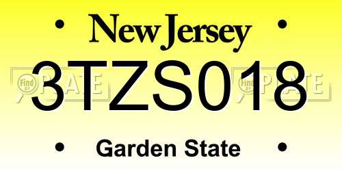 3TZS018 New Jersey License Plate