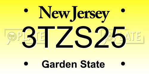 3TZS25 New Jersey License Plate