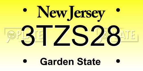 3TZS28 New Jersey License Plate