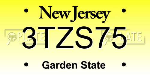 3TZS75 New Jersey License Plate