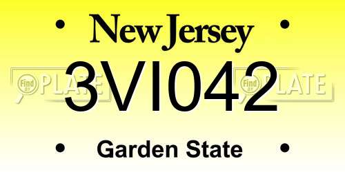 3VI042 New Jersey License Plate