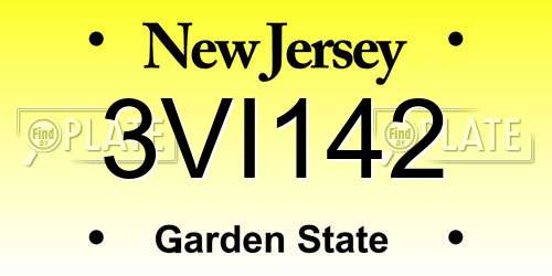 3VI142 New Jersey License Plate