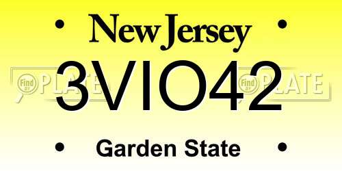 3VIO42 New Jersey License Plate