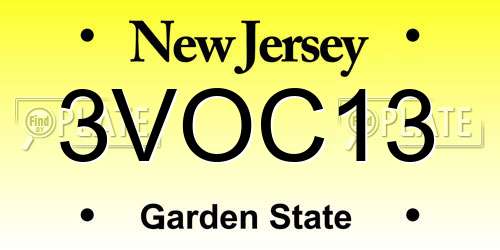 3VOC13 New Jersey License Plate