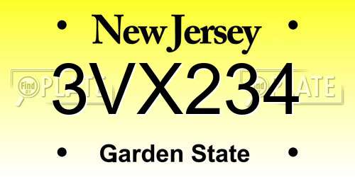 3VX234 New Jersey License Plate