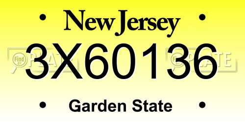 3X60136 New Jersey License Plate