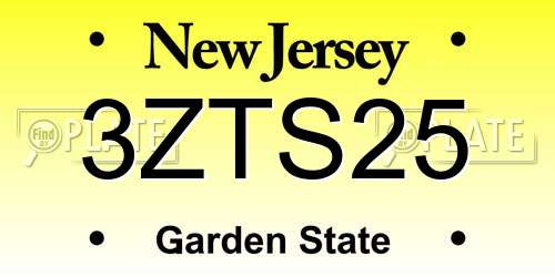 3ZTS25 New Jersey License Plate