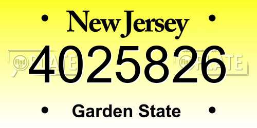 4025826 New Jersey License Plate