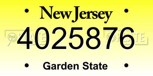 4025876 New Jersey License Plate