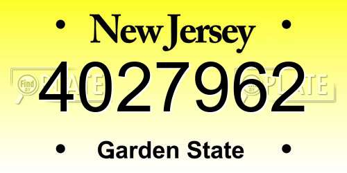 4027962 New Jersey License Plate