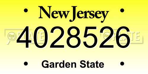 4028526 New Jersey License Plate