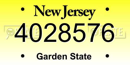 4028576 New Jersey License Plate