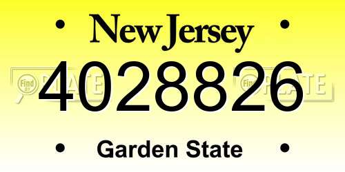 4028826 New Jersey License Plate