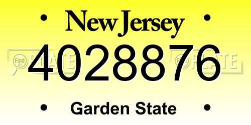 4028876 New Jersey License Plate