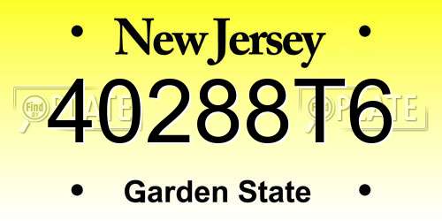40288T6 New Jersey License Plate