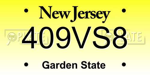 409VS8 New Jersey License Plate