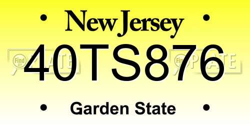 40TS876 New Jersey License Plate