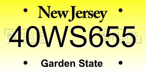 40WS655 New Jersey License Plate