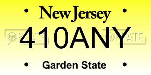 410ANY New Jersey License Plate