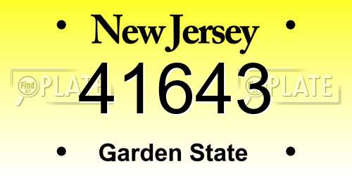 41643 New Jersey License Plate