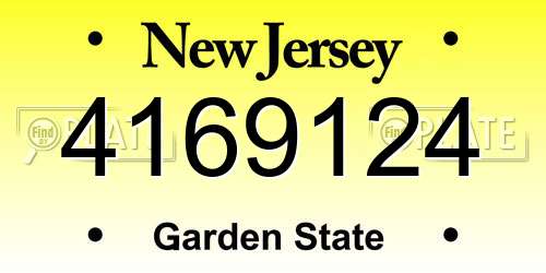 4169124 New Jersey License Plate