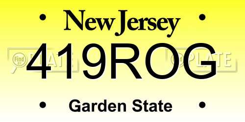 419ROG New Jersey License Plate