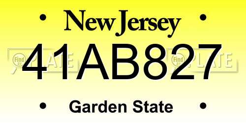 41AB827 New Jersey License Plate
