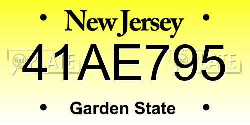 41AE795 New Jersey License Plate
