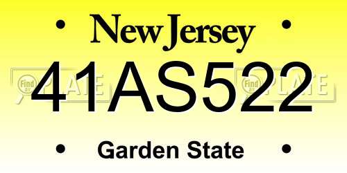 41AS522 New Jersey License Plate