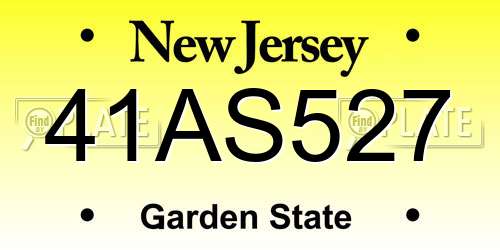 41AS527 New Jersey License Plate