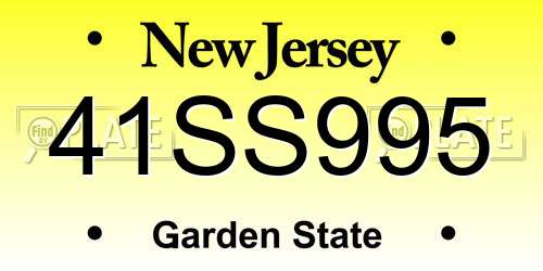 41SS995 New Jersey License Plate