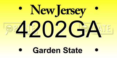 4202GA New Jersey License Plate
